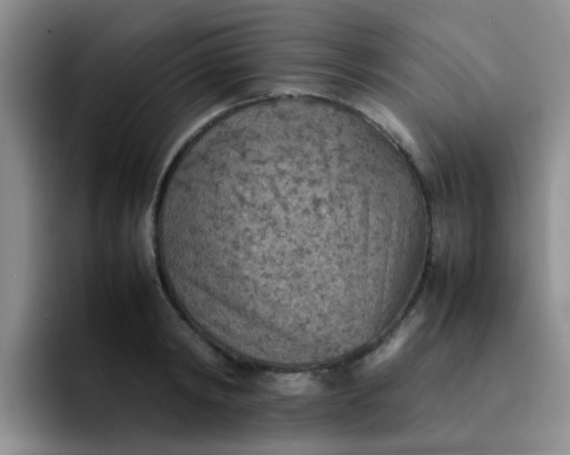 X0000092050798200709262008