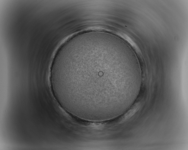 X0000092050799200709262008