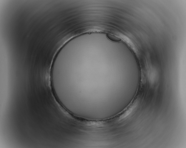 X0000092050802200709262008