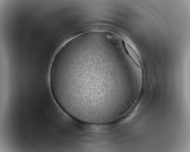 X0000092050803200709262008