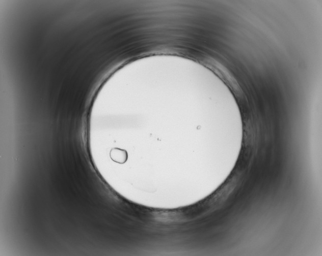 X0000092050804200709262008