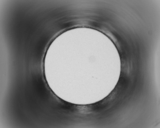 X0000092050807200709262008