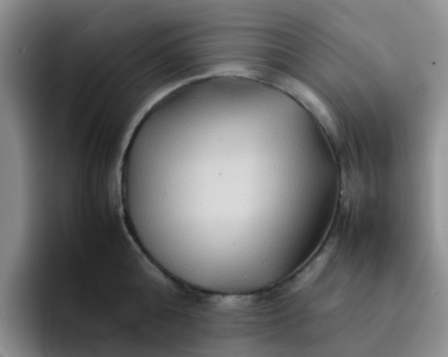 X0000092050808200709262008