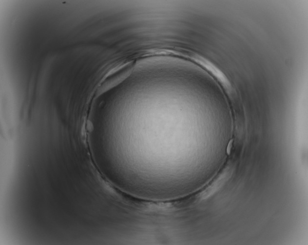 X0000092050809200709262008