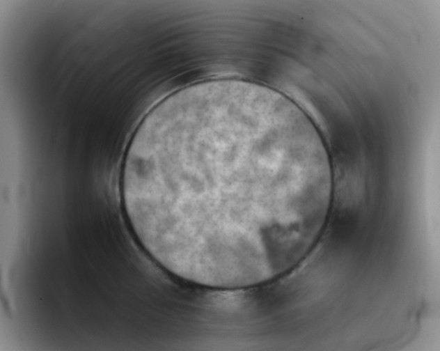 X0000092050810200709262008