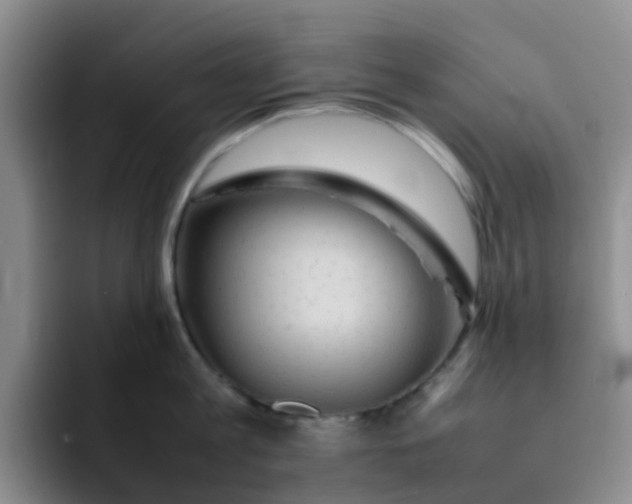 X0000092050813200709262008