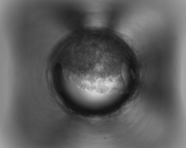 X0000092050817200709262008