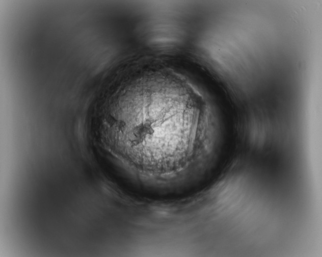 X0000092050818200709262008