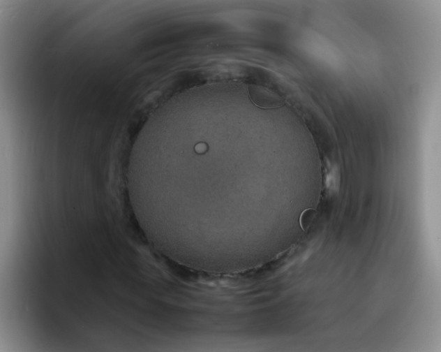 X0000092050819200709262008