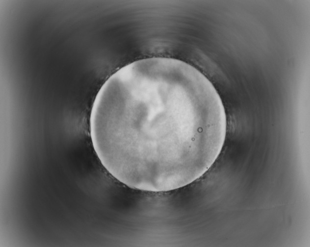 X0000092050820200709262008