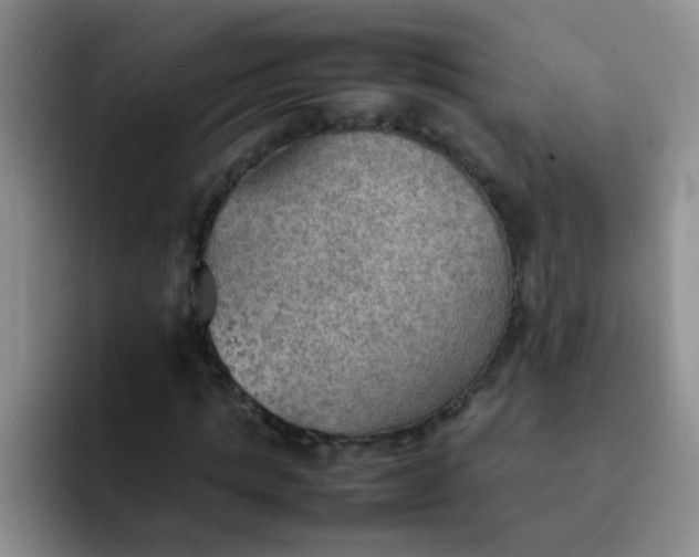 X0000092050821200709262008