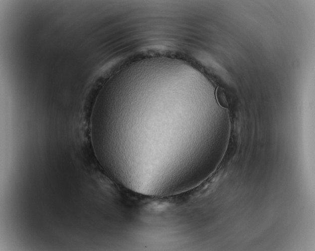 X0000092050822200709262008