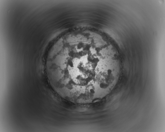 X0000092050823200709262008