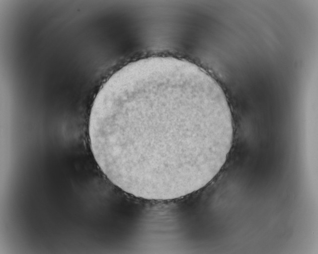 X0000092050824200709262008