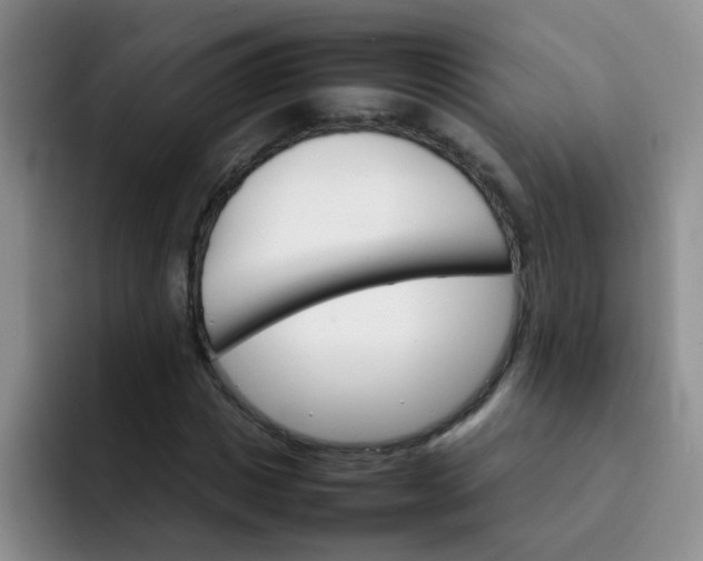 X0000092050825200709262008