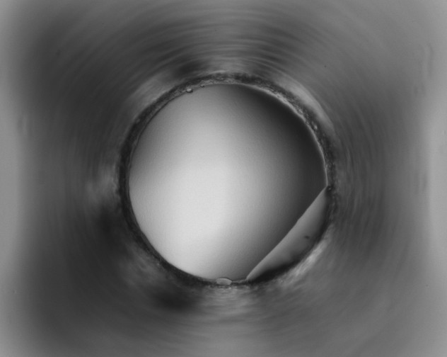 X0000092050826200709262008