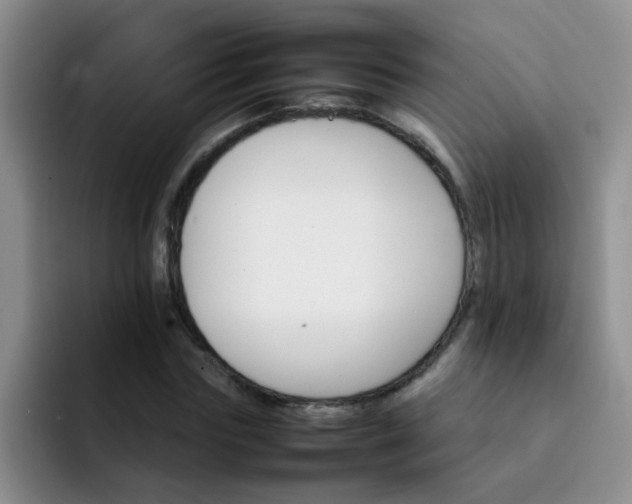 X0000092050827200709262008