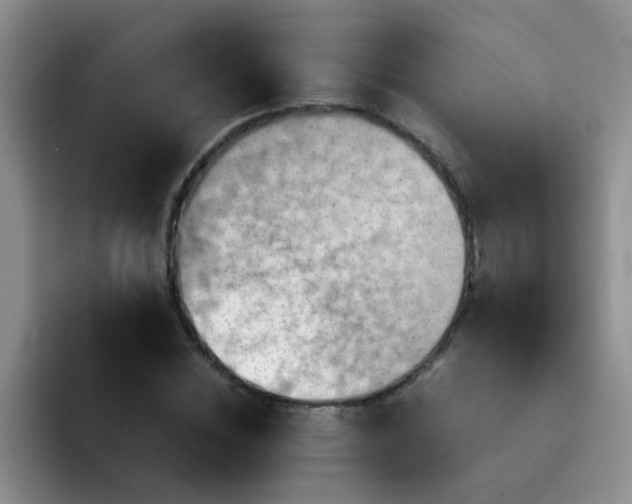 X0000092050828200709262008