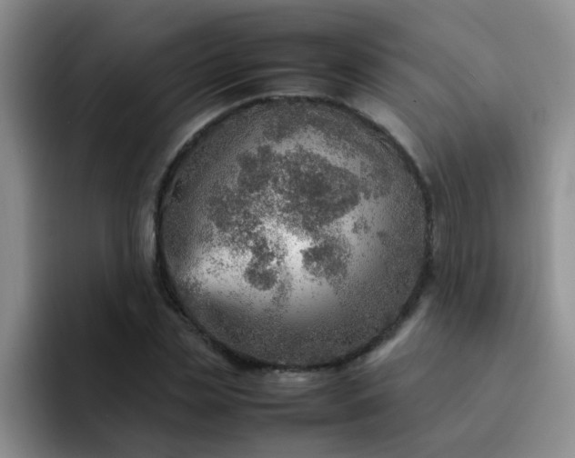 X0000092050829200709262008