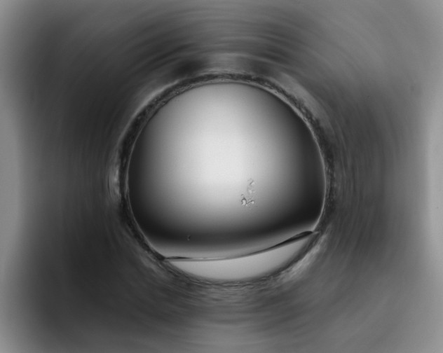 X0000092050830200709262008