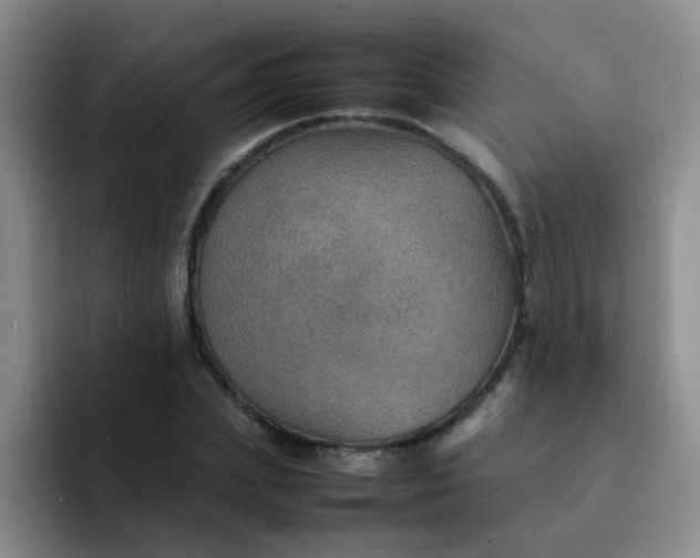 X0000092050831200709262008