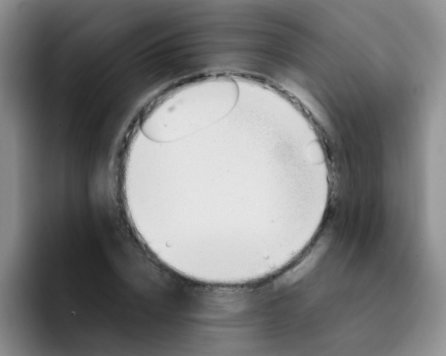 X0000092050832200709262008