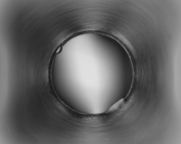 X0000092050834200709262008