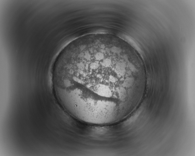 X0000092050835200709262008