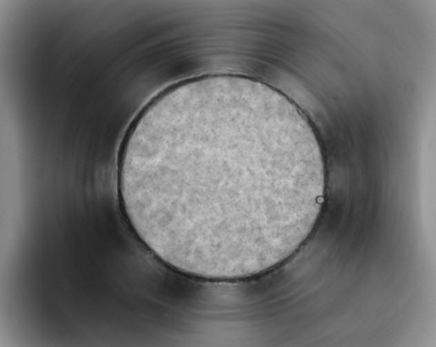 X0000092050836200709262008