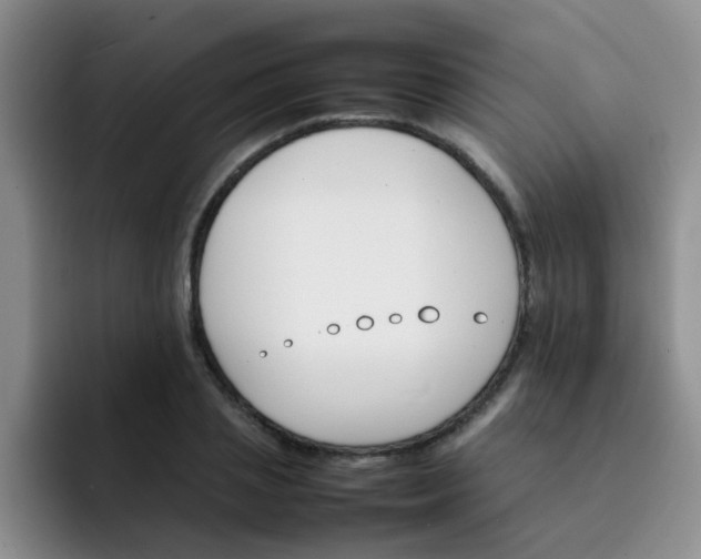 X0000092050837200709262008