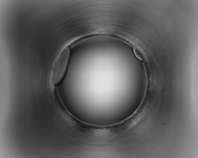 X0000092050838200709262008