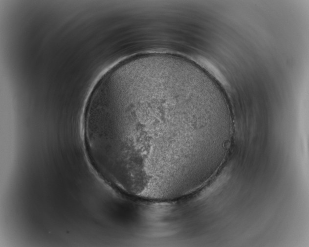 X0000092050839200709262008