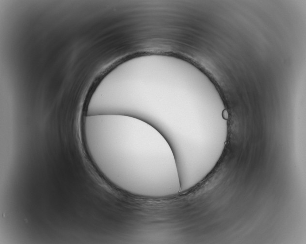 X0000092050840200709262008