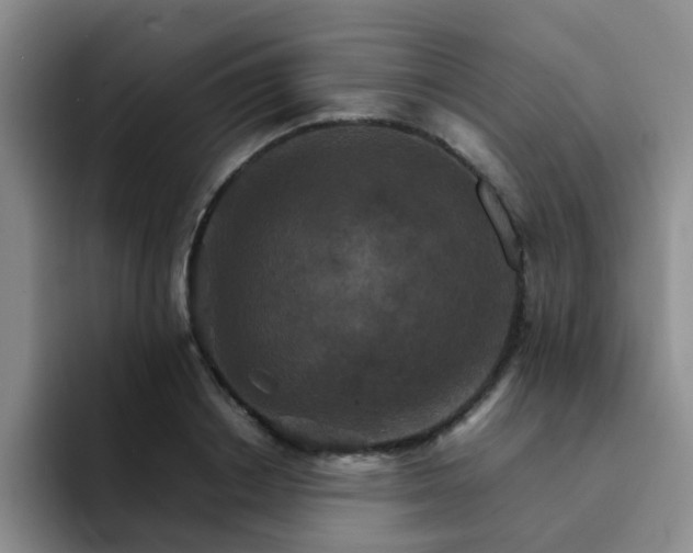 X0000092050842200709262008