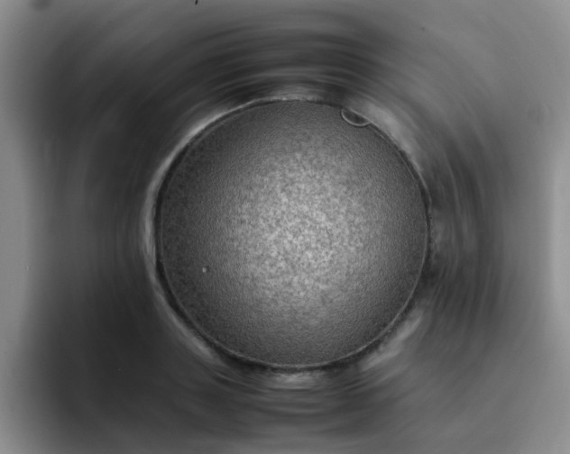 X0000092050843200709262008