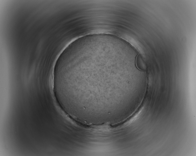 X0000092050844200709262008