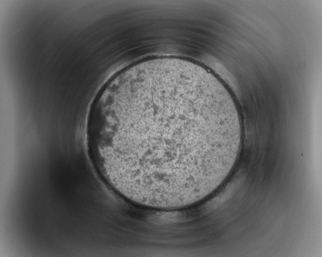 X0000092050845200709262008