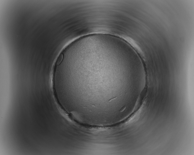 X0000092050846200709262008