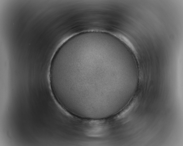 X0000092050847200709262008