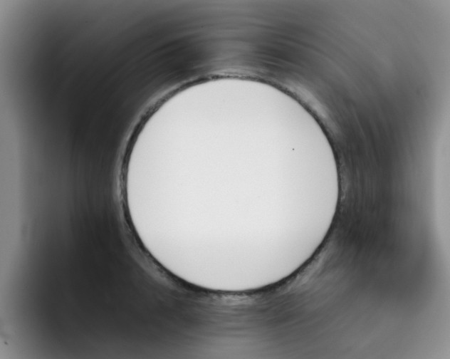 X0000092050848200709262008