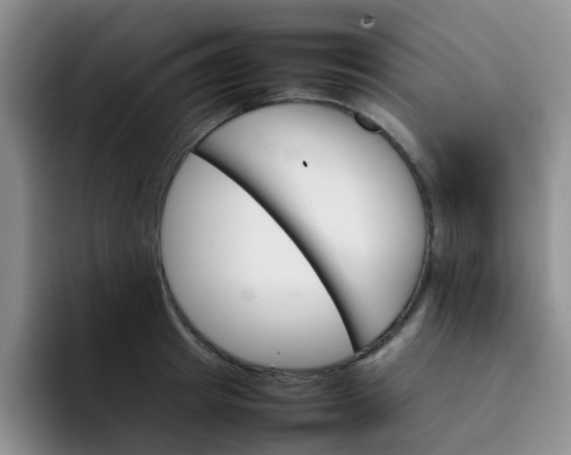 X0000092050849200709262008