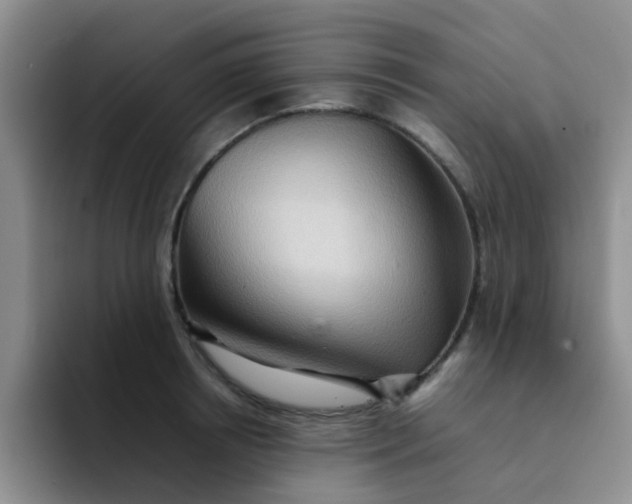 X0000092050850200709262008