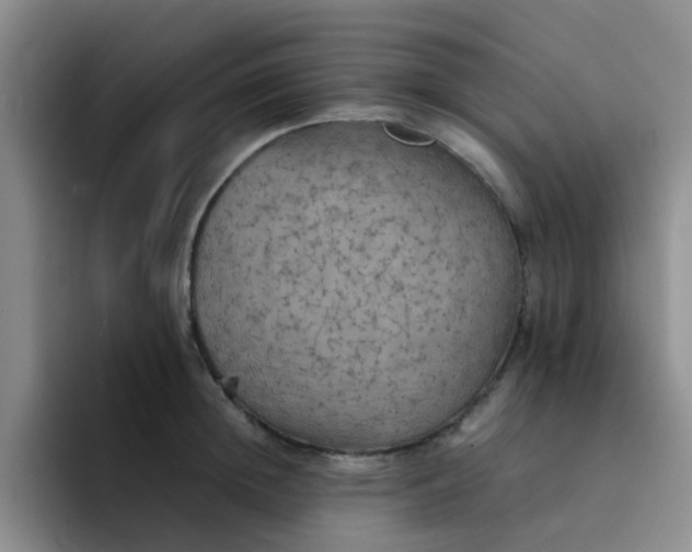 X0000092050852200709262008