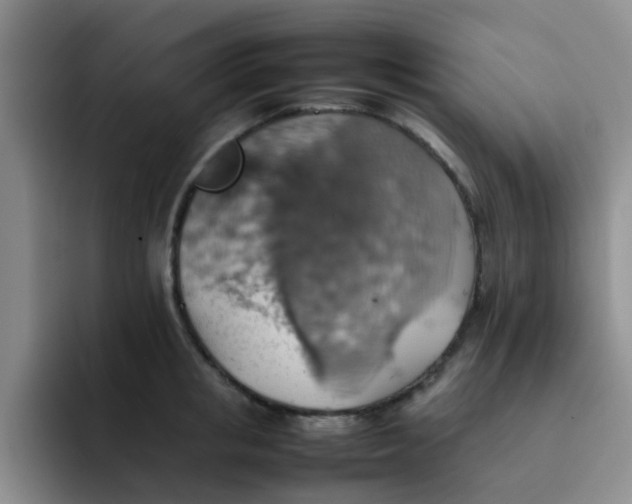 X0000092050853200709262008