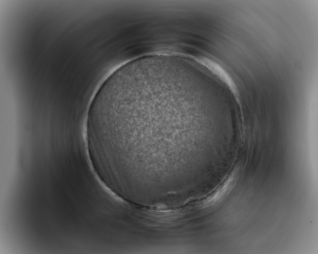 X0000092050855200709262008