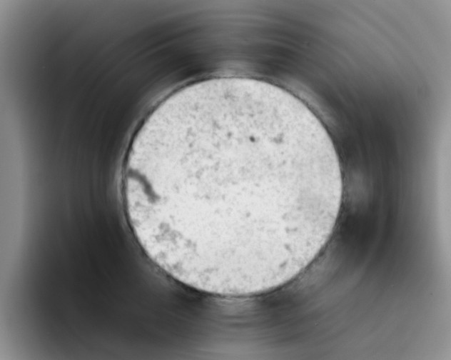 X0000092050856200709262008