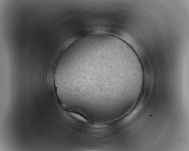 X0000092050857200709262008