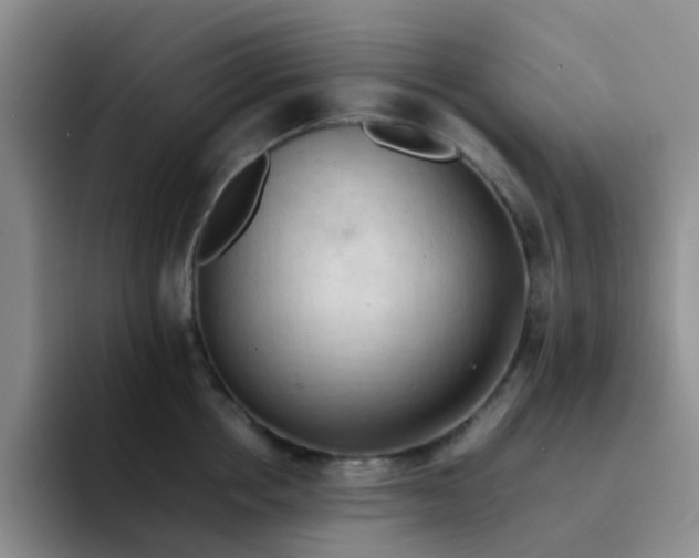 X0000092050858200709262008