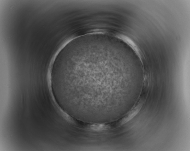 X0000092050859200709262008