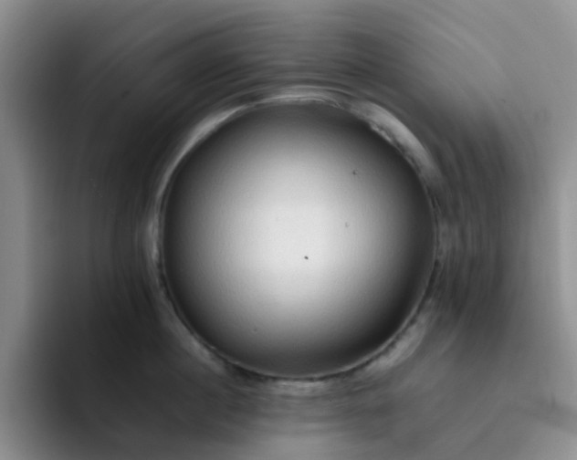 X0000092050860200709262008